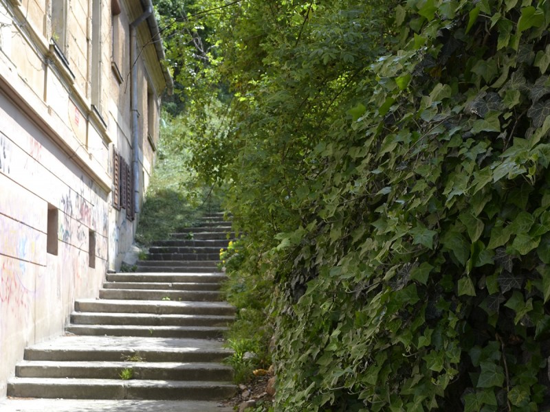 Gaseste comoara Cavalerilor Teutoni, intr-un treasure hunt in Brasov