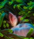 Fun online biology courses for children between 5-8 years old