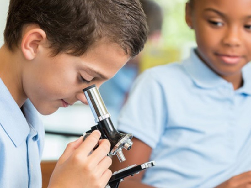 Fun online biology courses for children between 5-8 years old