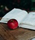 Communication and creativity through stories - course for children between 5-7 year olds
