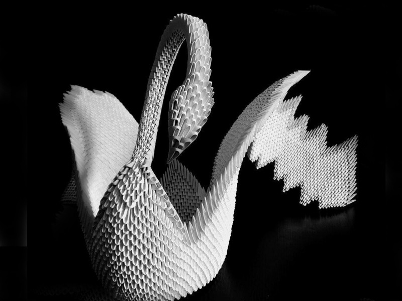 Online 3D Origami workshop for children between 8-12 years old