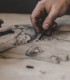 Individual drawing workshop for children between 9-14 years old, online