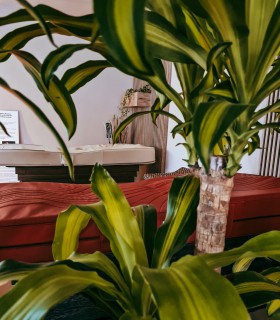 Jade stone therapy - relaxing experience for couples in Bucharest