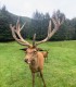Romantic holiday at the Deer Farm on Avrig Valley