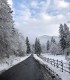 Romantic holiday at the Deer Farm on Avrig Valley