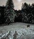 Romantic holiday at the Deer Farm on Avrig Valley