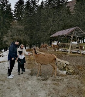 Family holiday at the Deer Farm on the Avrig Valley
