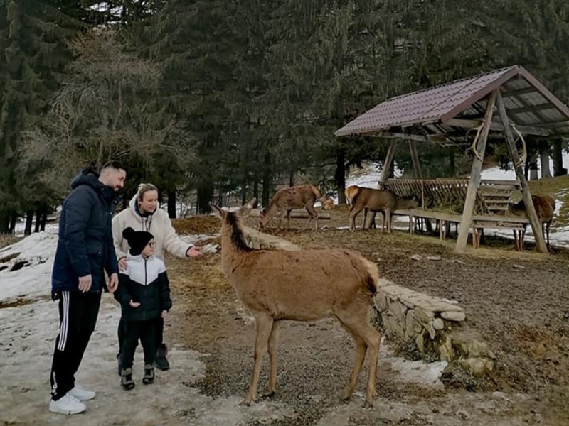 Family holiday at the Deer Farm on the Avrig Valley