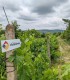 Weekend autentic romanesc in doi, la un conac din Prahova