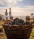 Degustare de vin, specialitati culinare si vizita la crama din Dealu Mare, pentru grupuri