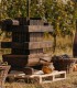 Degustare de vin, specialitati culinare si vizita la crama din Dealu Mare, pentru grupuri