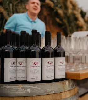 Degustare de vin, specialitati culinare si vizita la crama din Dealu Mare, pentru grupuri