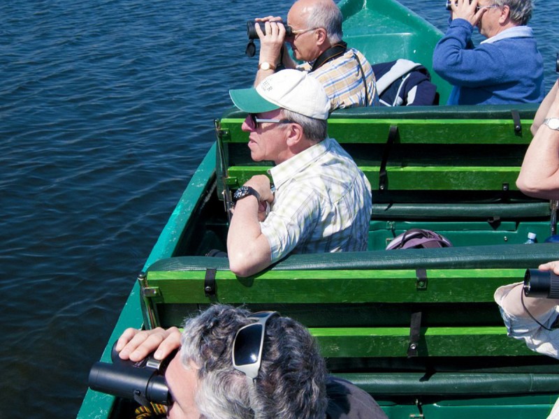 Bird watching in the Danube Delta - experience for groups