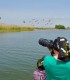 Bird watching in the Danube Delta - experience for groups