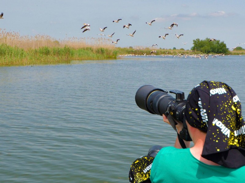Bird watching in the Danube Delta - experience for groups