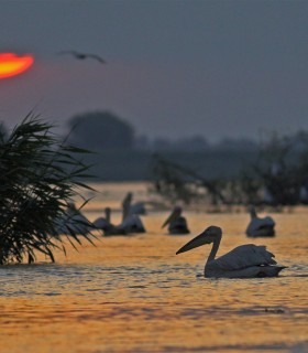 Boat trip in the Danube Delta for groups