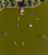 Kayaking courses for children and adults in Bucharest