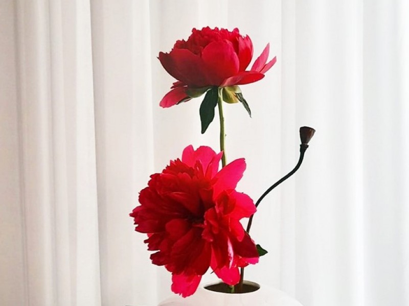 Ikebana workshop, the art of living paintings, near Brasov