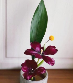 Workshop Ikebana, arta tablourilor vii, langa Brasov