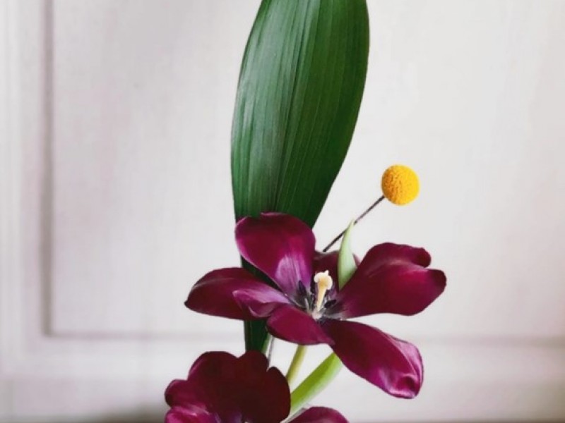 Ikebana workshop, the art of living paintings, near Brasov