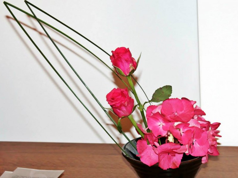 Ikebana workshop, the art of living paintings, near Brasov