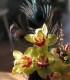 Flower arrangement workshop, for 2 people, near Brasov