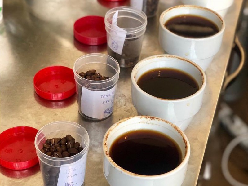 Degustare cafea de specialitate in Bucuresti