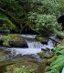 2 days of trout fishing in the Fagaras Mountains, with Alex Bucur