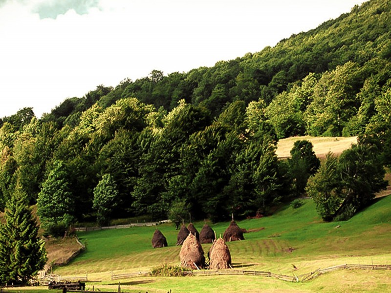 Gift voucher for a holiday in the heart of Transylvania