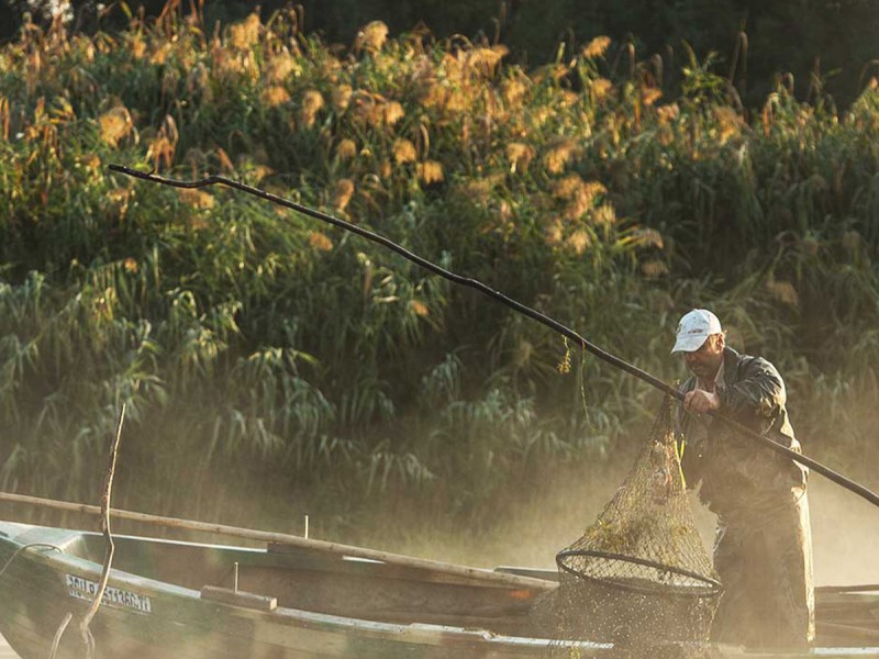 Gift holiday for seniors in the Danube Delta