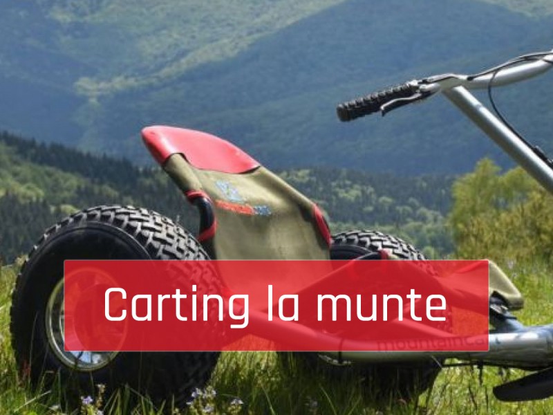 Adventure for groups with Mountain Carts at Lake St. Anna
