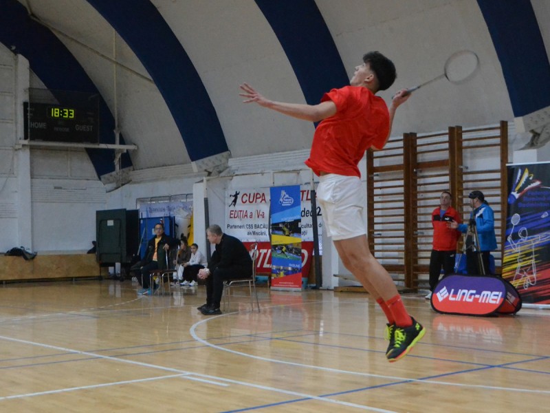 Sedinta privata de badminton, cu antrenor, in Bucuresti