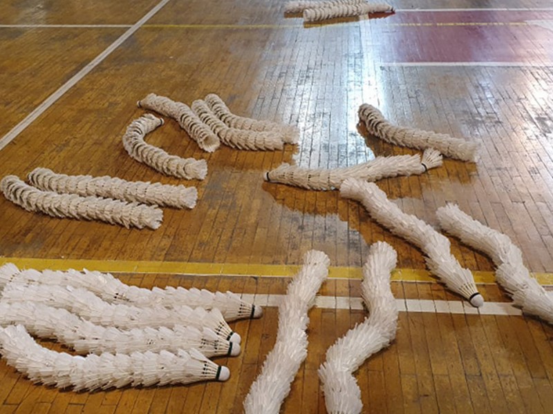 Badminton membership for adults and children in Bucharest