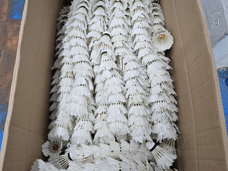 Badminton membership for adults and children in Bucharest