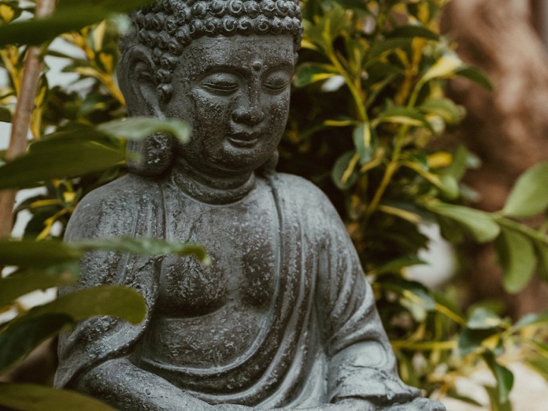 The essence of Zen: ritual corp, minte si suflet, pentru EA, in Bucuresti