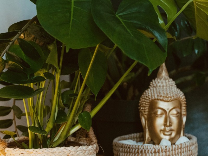 Relaxing Ritual: ritual de relaxare pentru EA, in Bucuresti