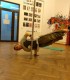 Pole Dance in Bucharest - acrobatics, stretching and mobility