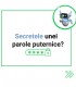 WEB Programming course for children aged 12-14, online or in Bucharest