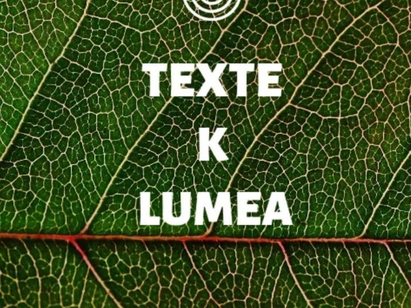 Curs de scriere creativa - invata cum sa scrii povesti cu impact