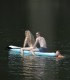 Adventure and recreation near Cluj: Paddle Board, Water Bike and sun beds