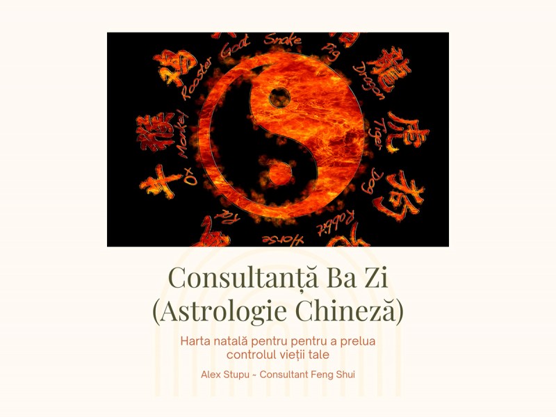 Chinese Astrology Consultation Ba Zi