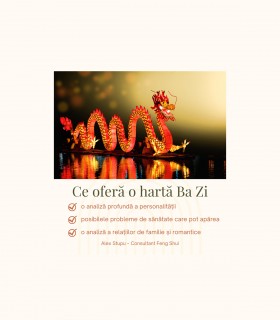 Chinese Astrology Consultation Ba Zi