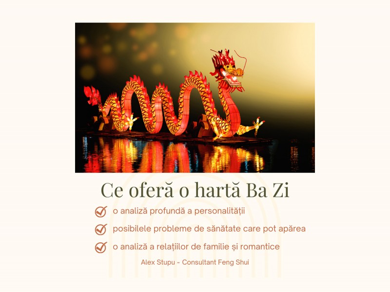 Chinese Astrology Consultation Ba Zi