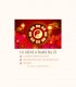 Chinese Astrology Consultation Ba Zi