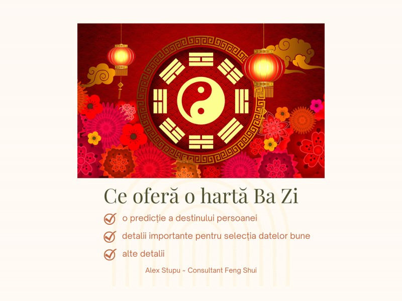 Chinese Astrology Consultation Ba Zi