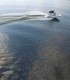 Boat trip and romantic dinner on the shores of Lake Snagov