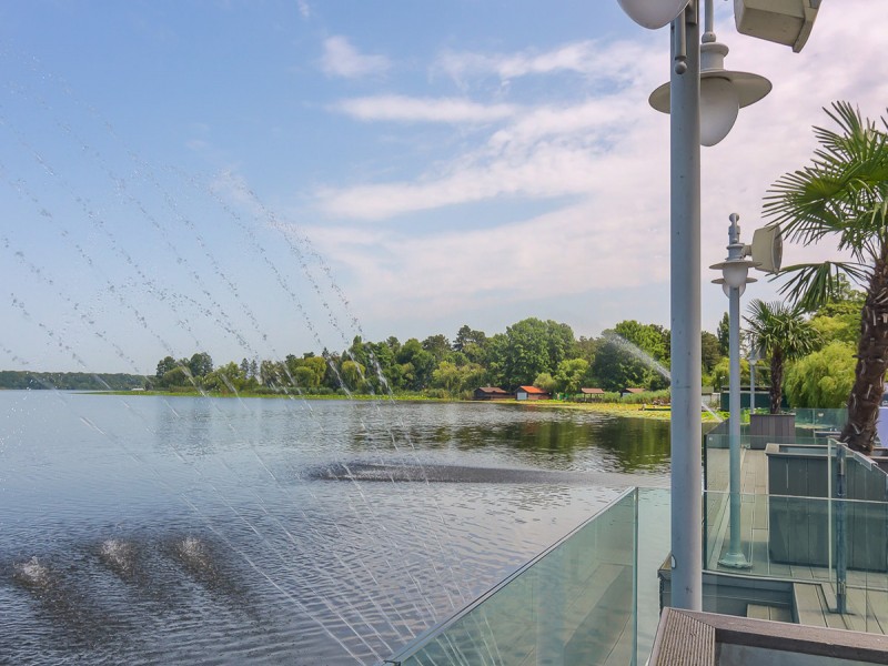 Boat trip and romantic dinner on the shores of Lake Snagov