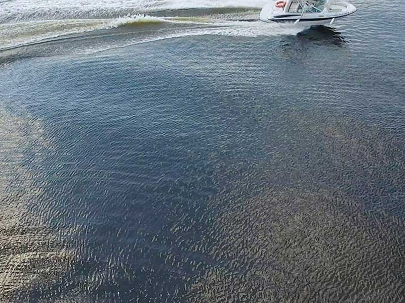 Plimbare cu salupa pe Lacul Snagov si o sticla de sampanie, pentru grupuri