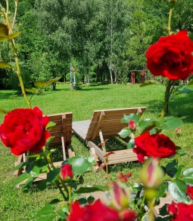 Retreat cu prietenii in Muntii Apuseni, cu sesiuni de Yoga incluse