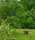 Harmony and relaxation: a day of yoga in the heart of the Apuseni Mountains